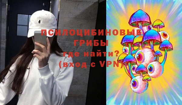 ALPHA PVP Верея