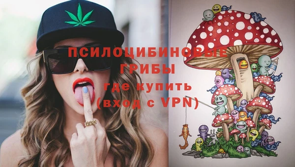гидропоника Бородино