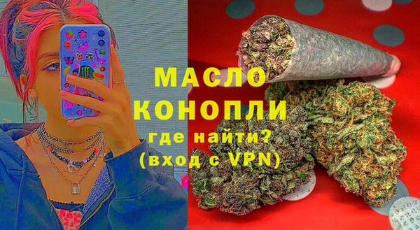 индика Бугульма
