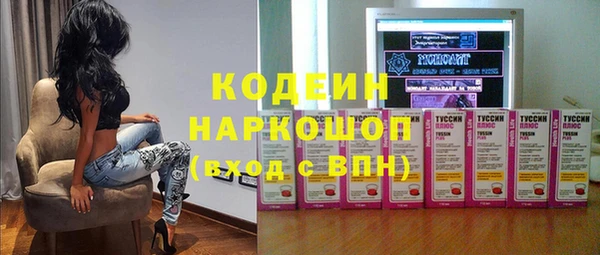 индика Бугульма